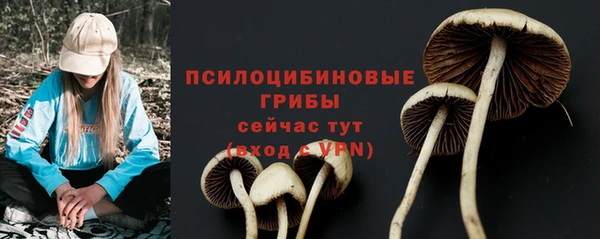 прущая мука Покров