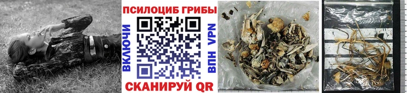 Купить  Дрезна  Галлюциногенные грибы Magic Shrooms 
