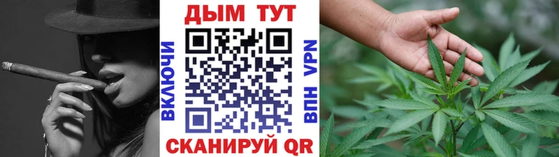Шишки марихуана сатива Дрезна
